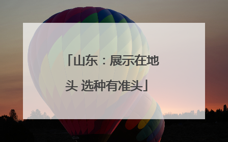 山东：展示在地头 选种有准头