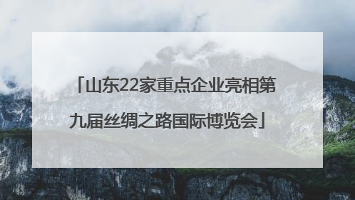 山东22家重点企业亮相第九届丝绸之路国际博览会
