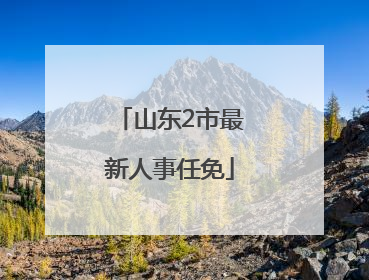 山东2市最新人事任免