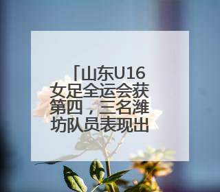 山东U16女足全运会获第四，三名潍坊队员表现出色！
