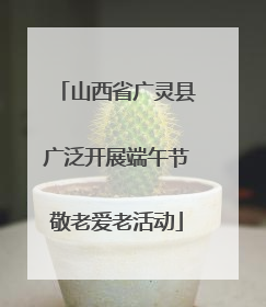 山西省广灵县广泛开展端午节敬老爱老活动