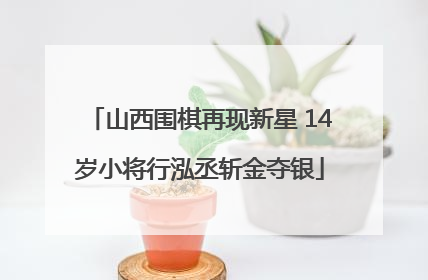 山西围棋再现新星 14岁小将行泓丞斩金夺银