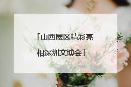山西展区精彩亮相深圳文博会