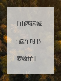 山西运城：端午时节麦收忙