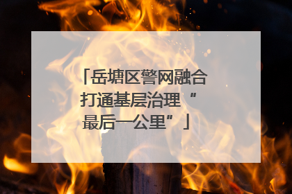 岳塘区警网融合 打通基层治理“最后一公里”