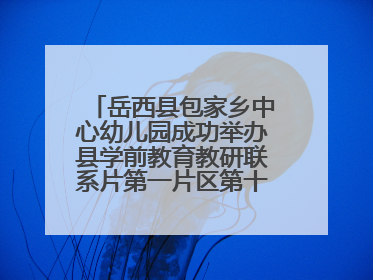 岳西县包家乡中心幼儿园成功举办县学前教育教研联系片第一片区第十三次专题研讨会