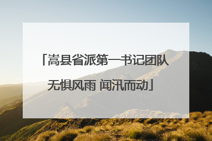 嵩县省派第一书记团队 无惧风雨 闻汛而动