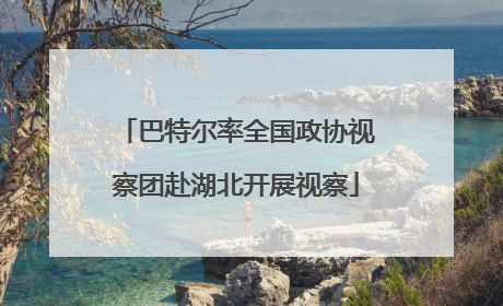 巴特尔率全国政协视察团赴湖北开展视察