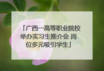 广西一高等职业院校举办实习生推介会 岗位多元吸引学生