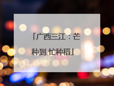 广西三江：芒种到 忙种稻