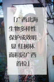 广西北海生物多样性保护成效明显 红树林面积居广西首位