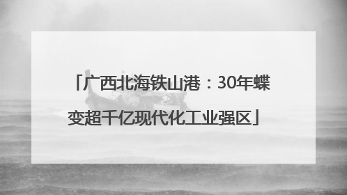 广西北海铁山港：30年蝶变超千亿现代化工业强区