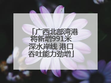 广西北部湾港将新增991米深水岸线 港口吞吐能力劲增
