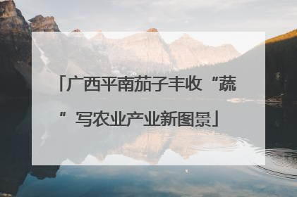 广西平南茄子丰收“蔬”写农业产业新图景