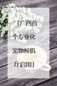 广西首个专业化宠物候机厅启用