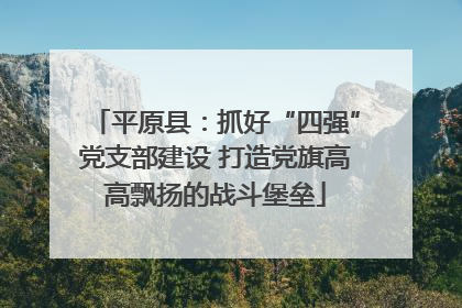 平原县：抓好“四强”党支部建设 打造党旗高高飘扬的战斗堡垒