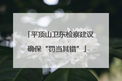 平顶山卫东检察建议确保“罚当其错”