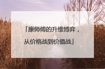 康师傅的升维博弈，从价格战到价值战