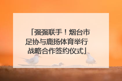 强强联手！烟台市足协与鹿扬体育举行战略合作签约仪式
