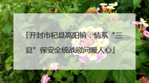 开封市杞县高阳镇：情系“三夏”保安全统战慰问暖人心