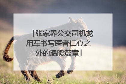 张家界公交司机龙用军书写医者仁心之外的温暖篇章