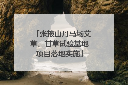 张掖山丹马场艾草、甘草试验基地项目落地实施