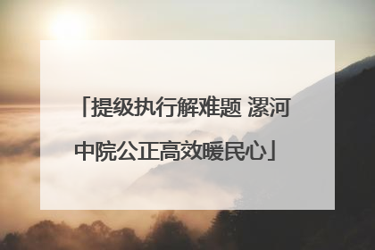 提级执行解难题 漯河中院公正高效暖民心