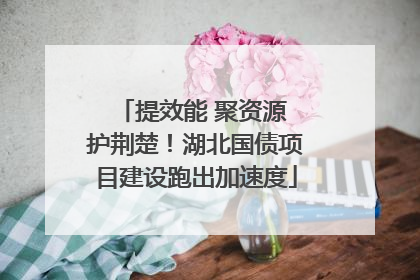 提效能 聚资源 护荆楚！湖北国债项目建设跑出加速度
