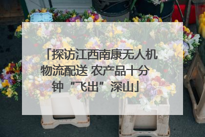 探访江西南康无人机物流配送 农产品十分钟“飞出”深山