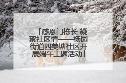 感恩门栋长 凝聚社区情——杨园街道四美塘社区开展端午主题活动