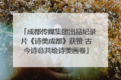成都传媒集团出品纪录片《诗美成都》获赞 古今诗意共绘诗美画卷