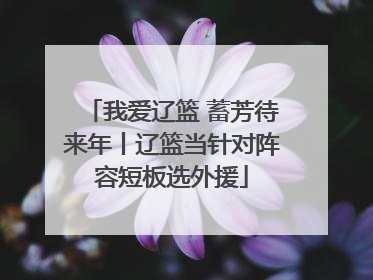 我爱辽篮 蓄芳待来年丨辽篮当针对阵容短板选外援