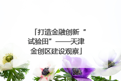 打造金融创新“试验田”——天津金创区建设观察