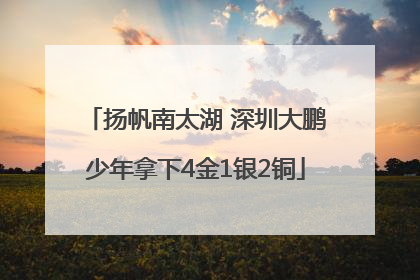 扬帆南太湖 深圳大鹏少年拿下4金1银2铜