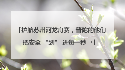 护航苏州河龙舟赛，普陀的他们把安全 “划” 进每一秒→