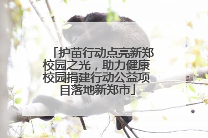 护苗行动点亮新郑校园之光，助力健康校园捐建行动公益项目落地新郑市