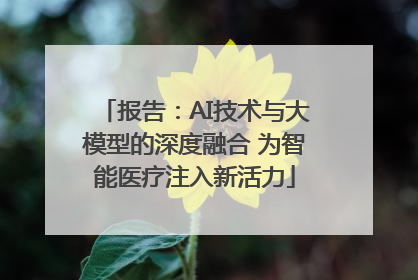 报告：AI技术与大模型的深度融合 为智能医疗注入新活力
