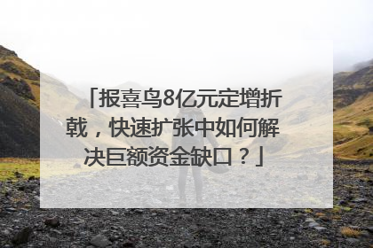 报喜鸟8亿元定增折戟，快速扩张中如何解决巨额资金缺口？