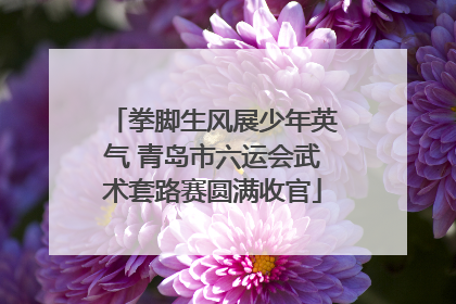 拳脚生风展少年英气 青岛市六运会武术套路赛圆满收官