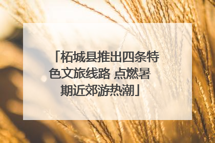 柘城县推出四条特色文旅线路 点燃暑期近郊游热潮