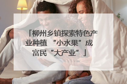 柳州乡镇探索特色产业种植 “小水果”成富民“大产业”
