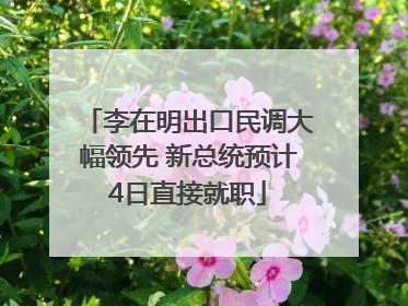 李在明出口民调大幅领先 新总统预计4日直接就职
