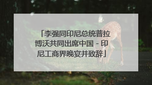 李强同印尼总统普拉博沃共同出席中国－印尼工商界晚宴并致辞