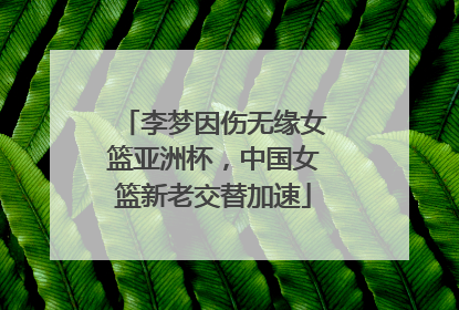 李梦因伤无缘女篮亚洲杯，中国女篮新老交替加速