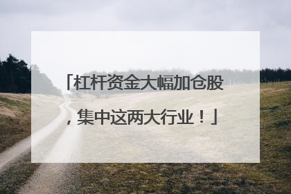 杠杆资金大幅加仓股，集中这两大行业！