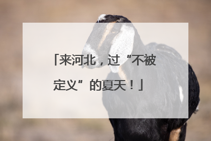 来河北，过“不被定义”的夏天！