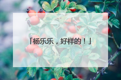 杨乐乐，好样的！