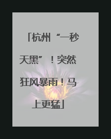 杭州“一秒天黑”！突然狂风暴雨！马上更猛