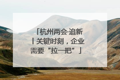 杭州两会·追新丨关键时刻，企业需要“拉一把”