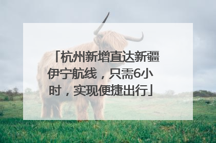 杭州新增直达新疆伊宁航线，只需6小时，实现便捷出行